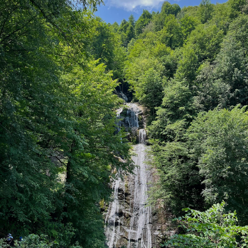 düzce