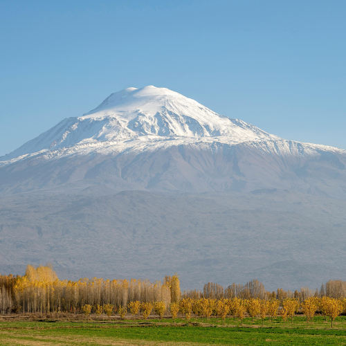 ığdır