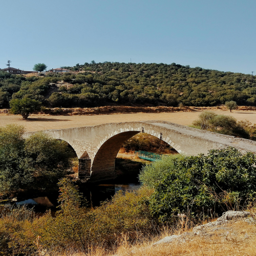 uşak uşak